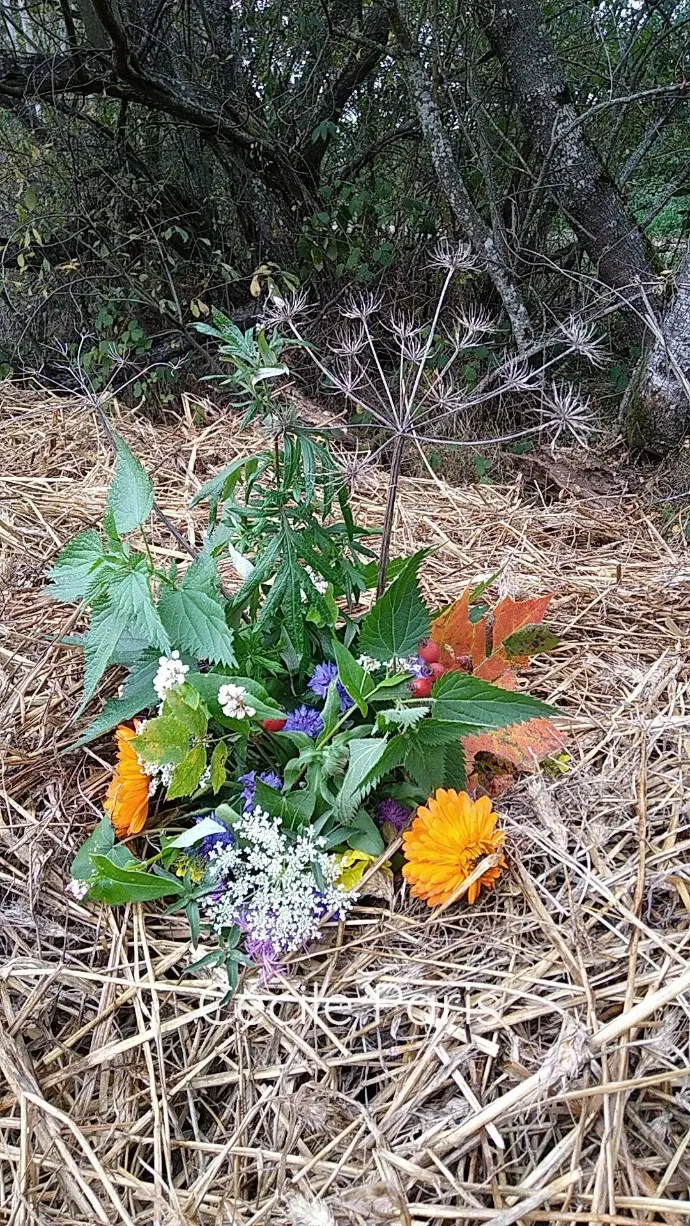 Compost conscient