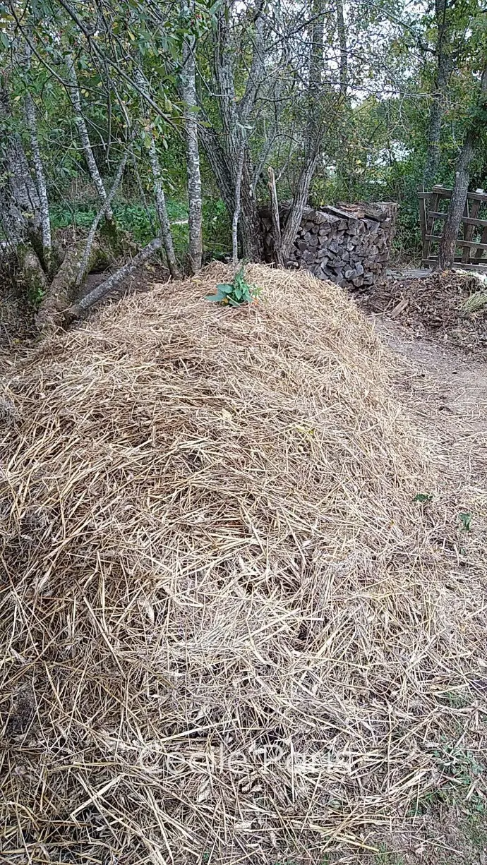 Engagement compost conscient