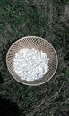 Camomille romaine - Phytotype - 3